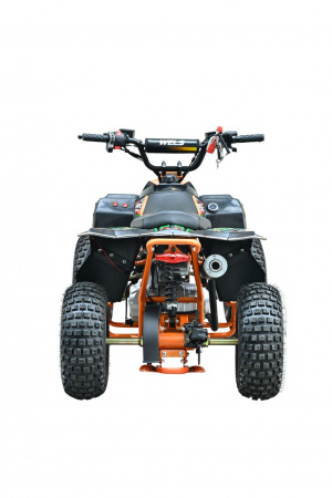 картинка Квадроцикл WELS TUKAH 110 | Moped24