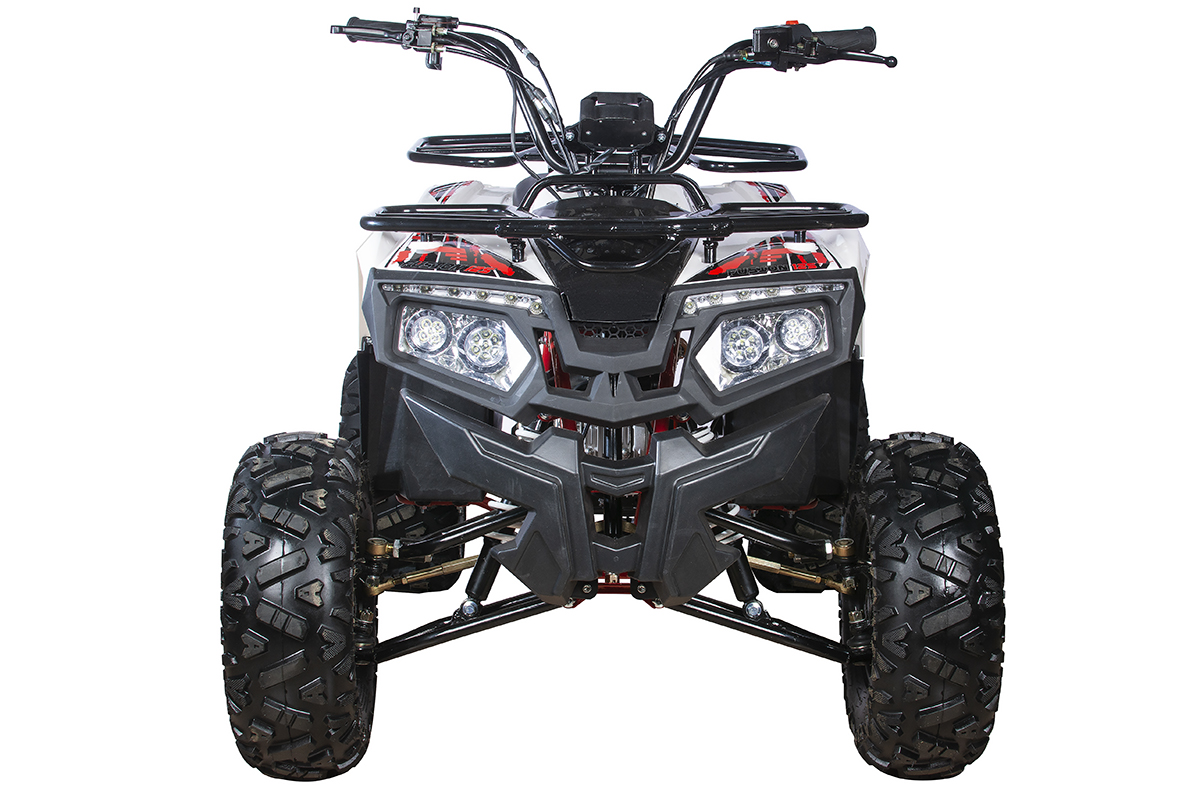картинка Квадроцикл YACOTA FUSION 125 | Moped24
