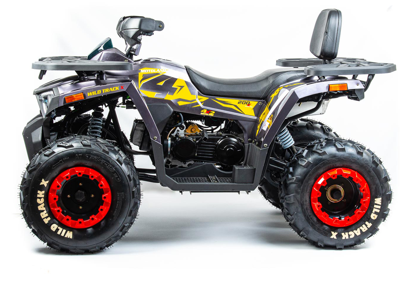 картинка Квадроцикл Motoland 200 WILD TRACK X | Moped24
